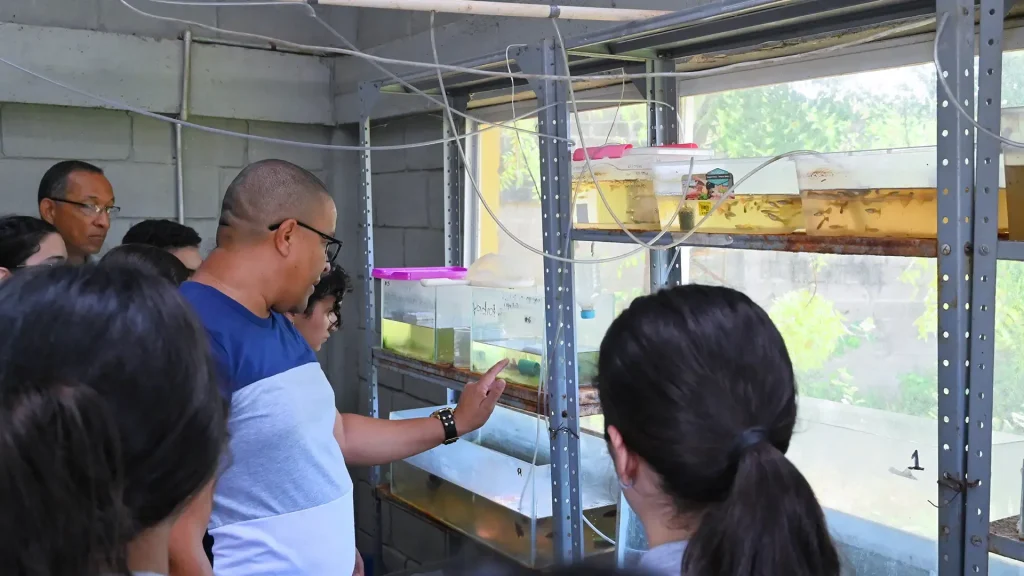 Estudiantes de Instituciones Educativas y docente, en las instalaciones de la Unidad Acuícola de Uniguajira donde se encuentran varios recipientes con agua y peces pequeños.