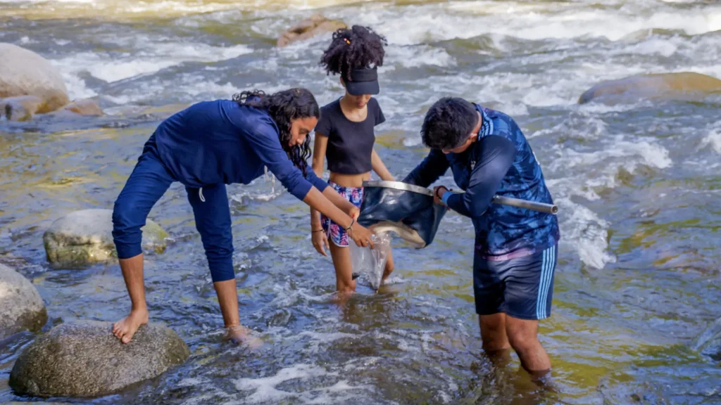 Docente de Uniguajira investiga especies de macroinvertebrados acuáticos en ríos del departamento