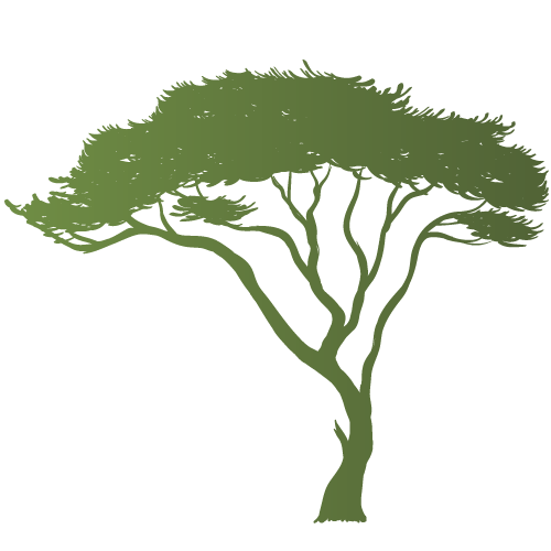 Arbol SUE - Uniguajira