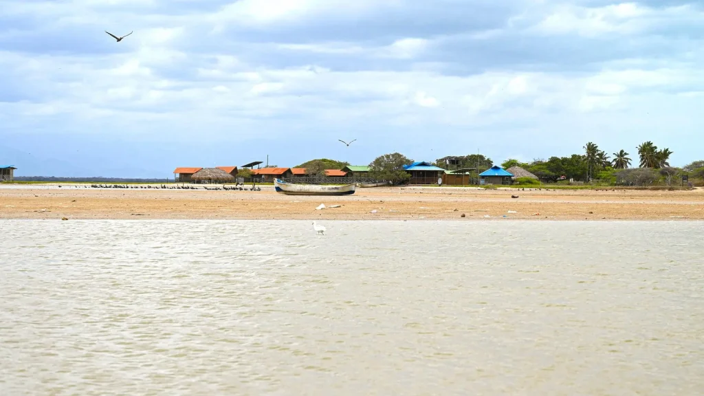 1.Proyecto de Uniguajira y Unicórdoba busca preservar dos ecosistemas acuáticos del Caribe Colombiano