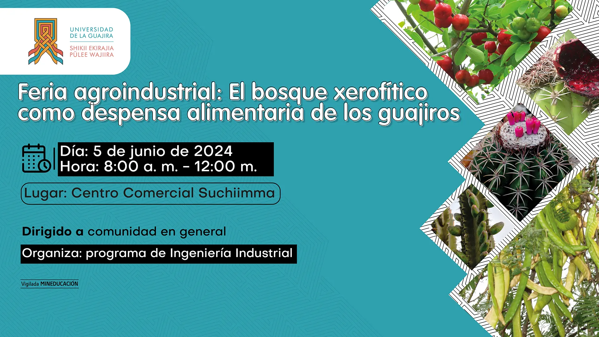 Pieza publicitaria Feria agroindustrial: bosque xerofítico como despensa alimentaria de los guajiros.