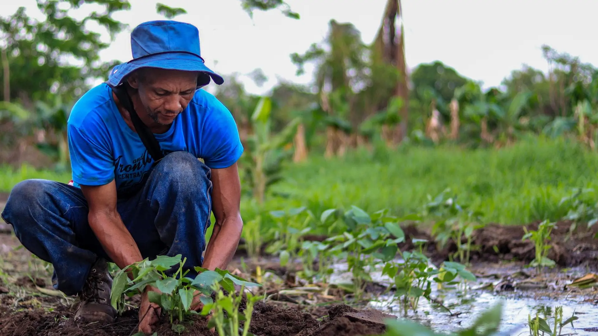 Agroecología: más allá de un nuevo programa académico en el departamento