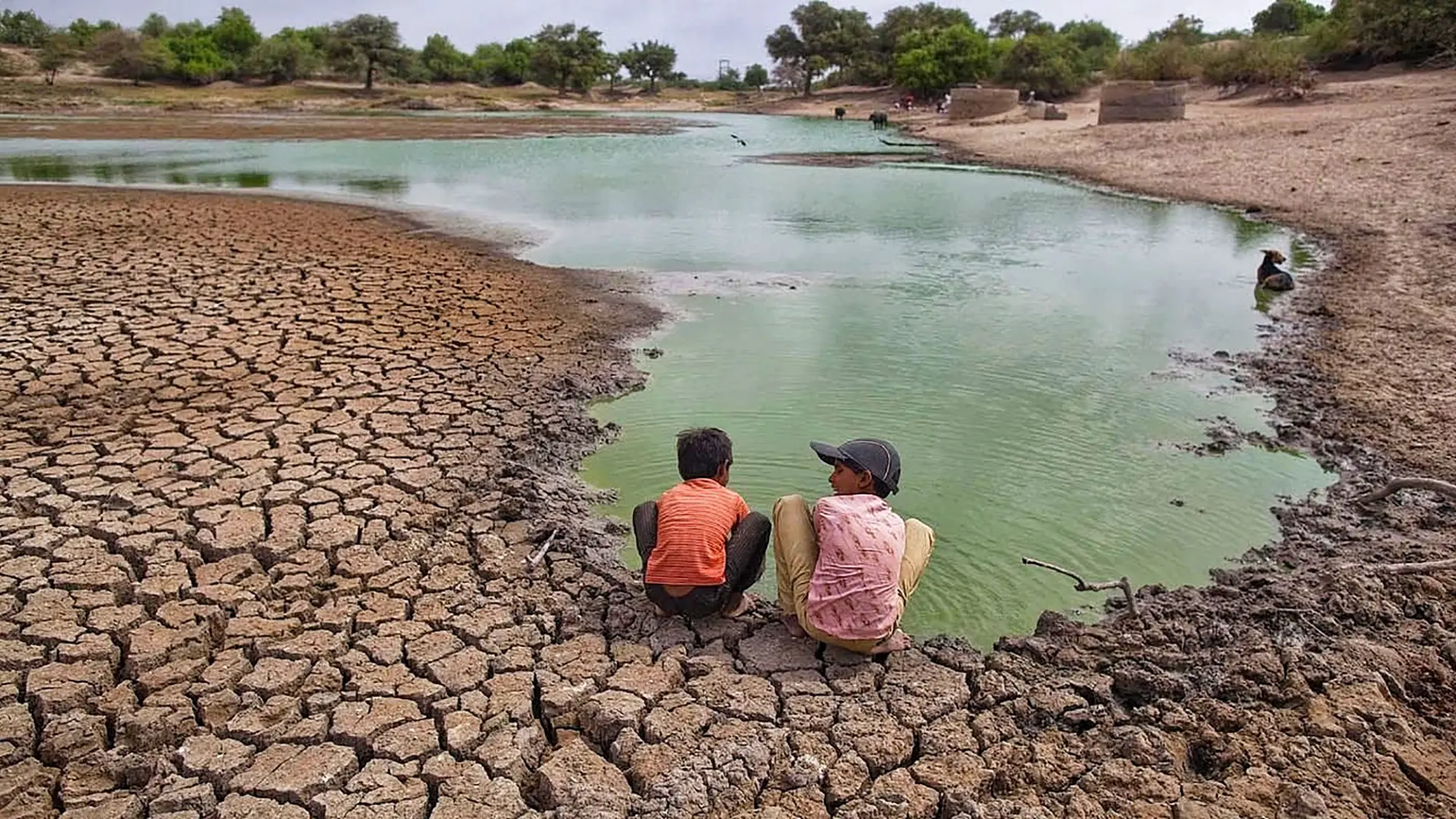 ¿Cuáles son los retos frente a la variabilidad climática en La Guajira