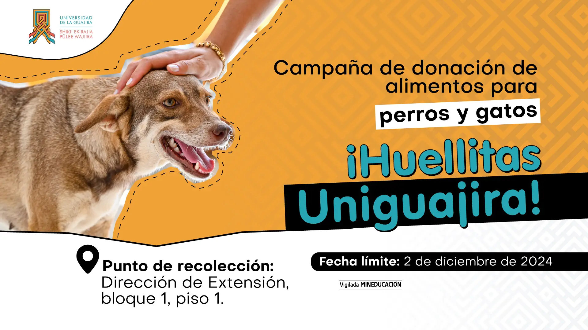 Campaña de donación de alimentos Huellitas Uniguajira