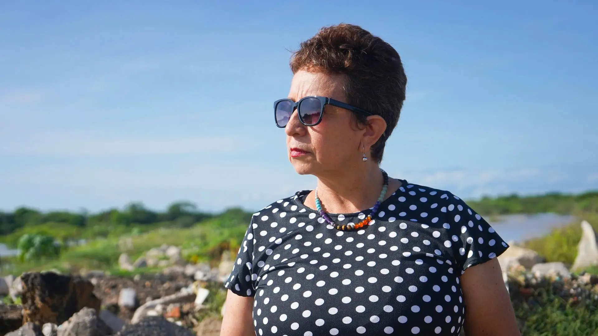 Docente investigadora Martha Ligia Castellanos Martínez

