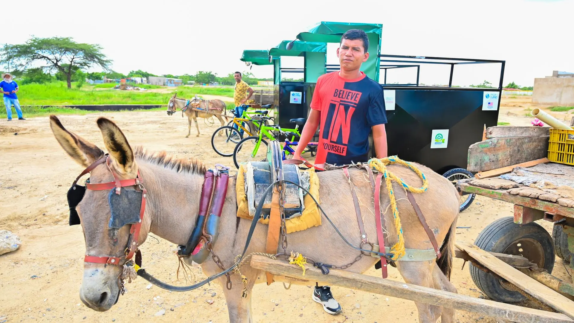 Los animales que impulsaban los vehículos eran sometidos a largas horas de trabajo afectado su bienestar 