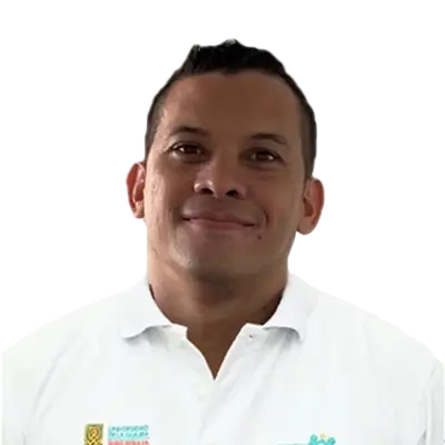 Anwar Agudelo Ibarra Ingeniero de Sistemas