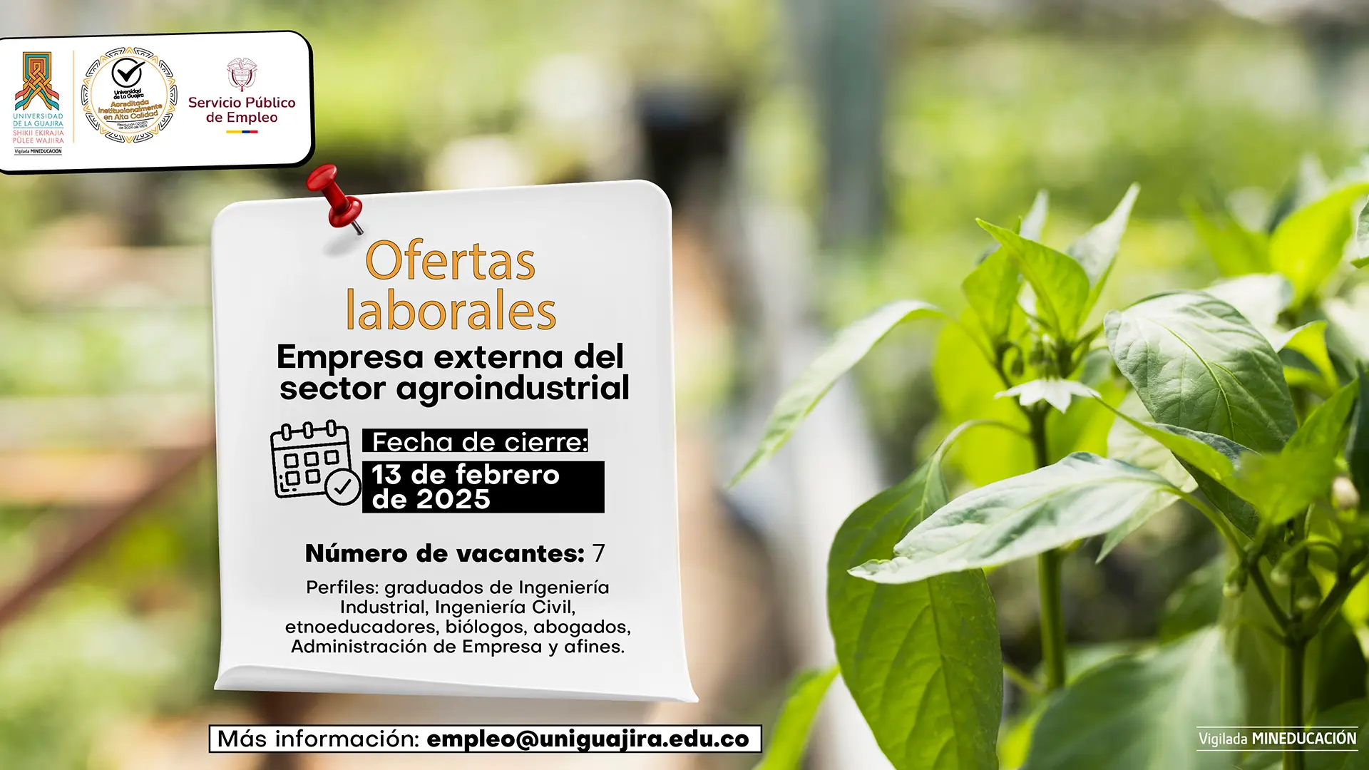 Convocatorias de empleo para profesionales y técnicos