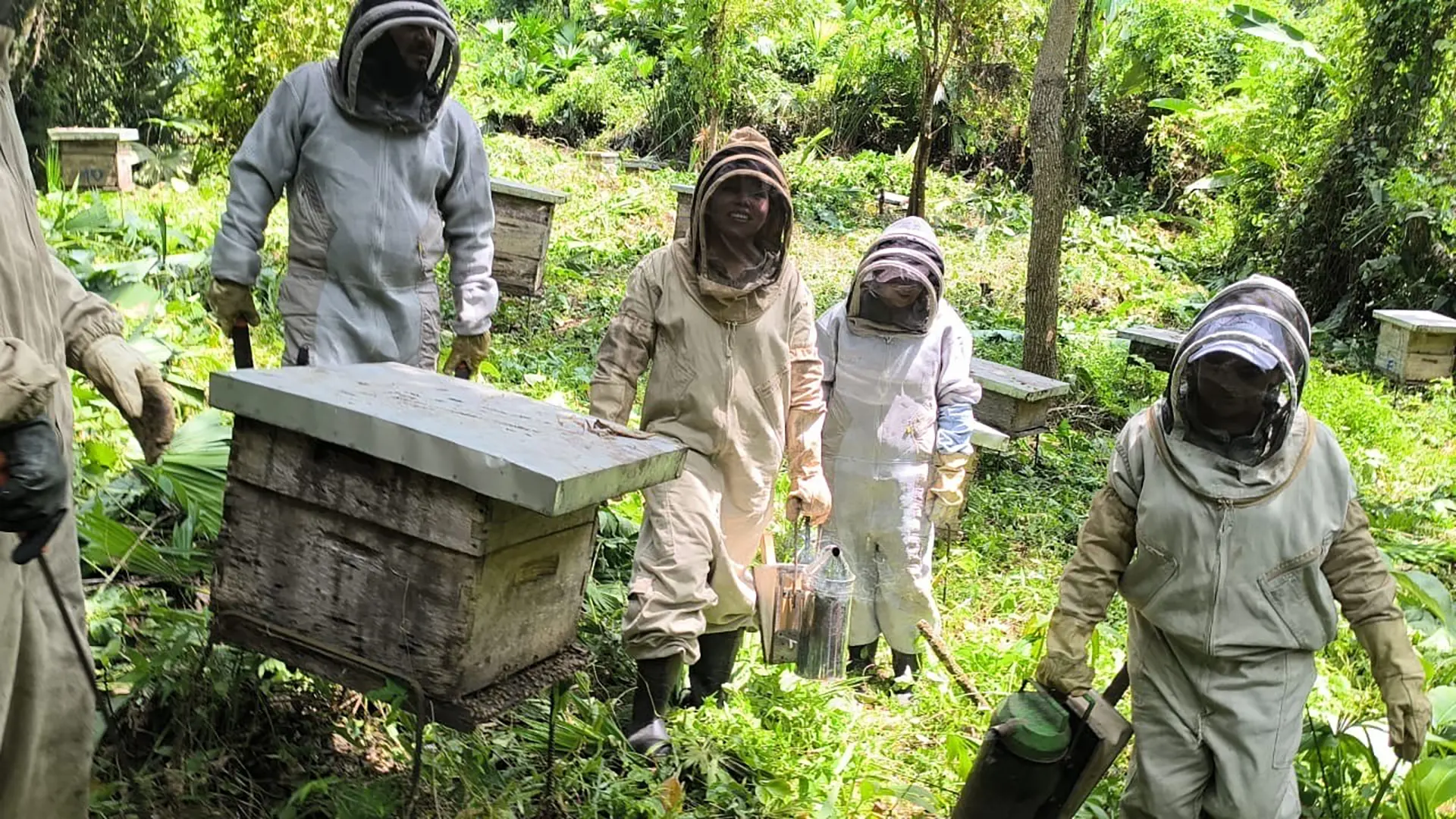 Apicultores de Miel el Caracolí durante el proceso de extracción de la miel.