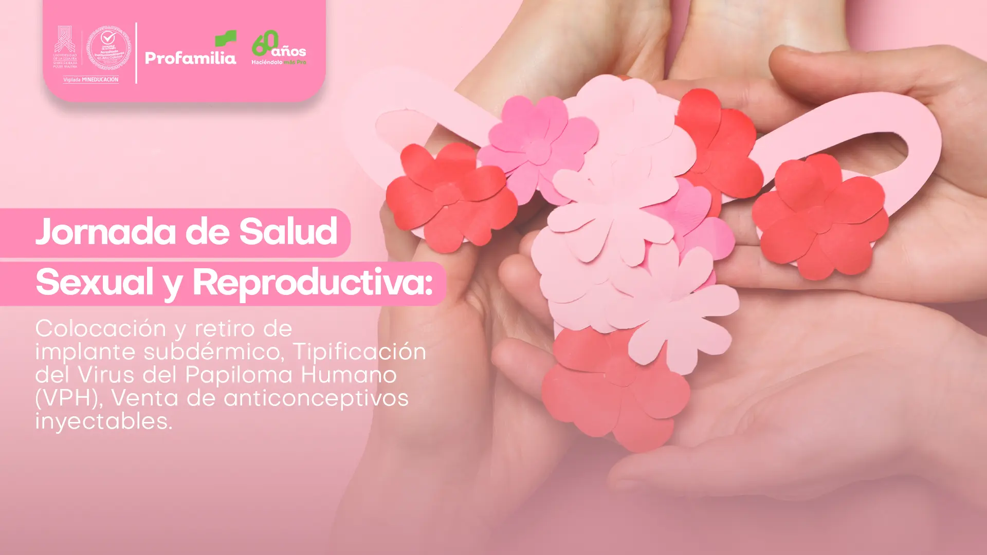 La imagen es un póster promocional para una "Jornada de Salud Sexual y Reproductiva". El fondo es una fotografía con un enfoque suave de unas manos sosteniendo un modelo de papel del sistema reproductivo femenino. El modelo es de color rosa y rojo, con una forma de útero y trompas de Falopio terminando en ovarios en forma de flor. El texto del cartel está superpuesto sobre la imagen en un recuadro rectangular de color blanco. El título es "Jornada de Salud Sexual y Reproductiva". Debajo, se enumeran los servicios ofrecidos: "Colocación y retiro de implante subdérmico, Tipificación del Virus del Papiloma Humano (VPH), Venta de anticonceptivos inyectables". En la esquina superior izquierda hay un banner rosa con el logo de "Profamilia" y un texto que dice "60 años".