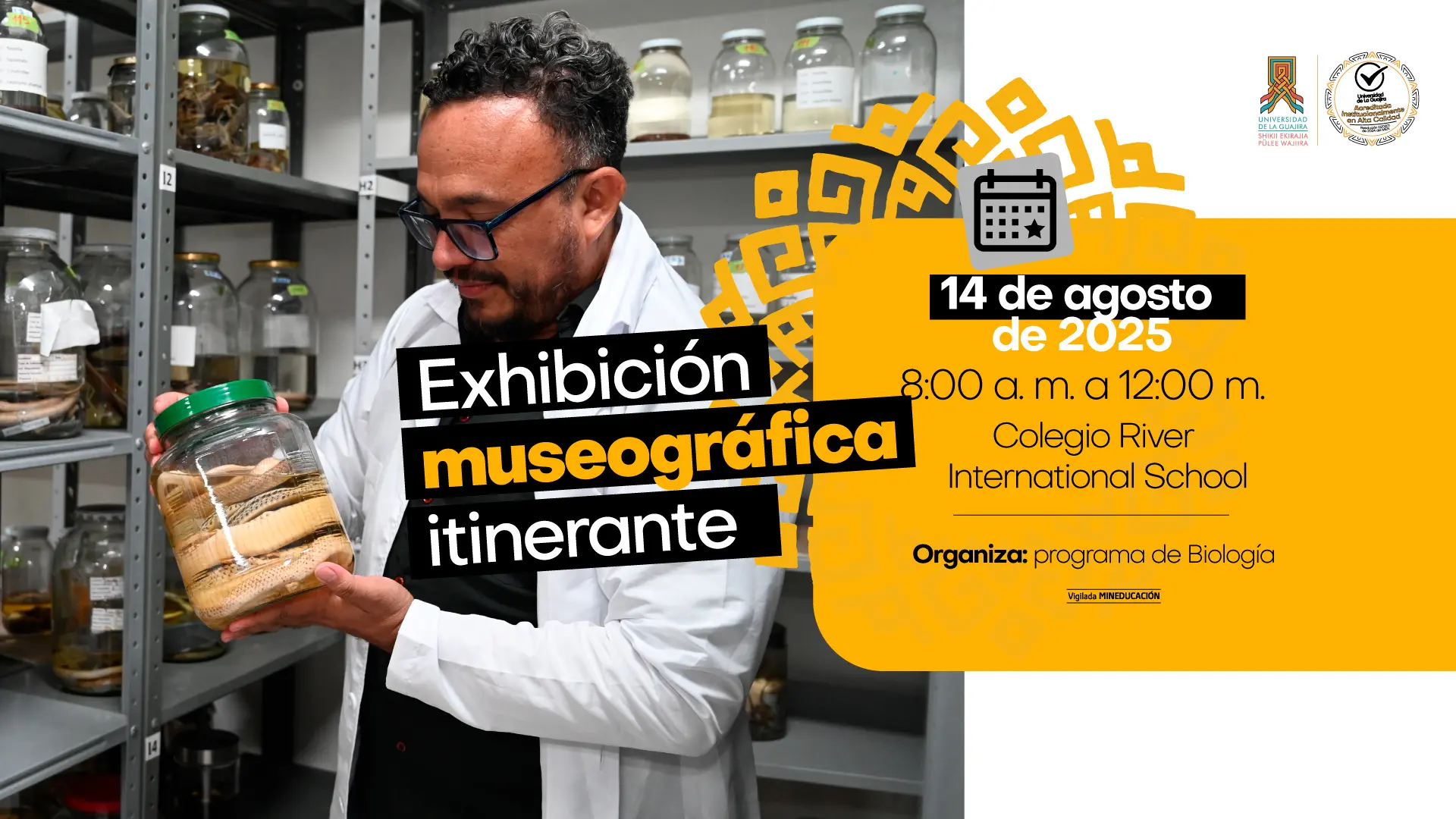 Afiche promocional de la “Exhibición museográfica itinerante” organizada por el programa de Biología de la Universidad de La Guajira. A la izquierda, un hombre con bata blanca y gafas sostiene un frasco de vidrio con una serpiente preservada, en una sala con estantes llenos de frascos similares. A la derecha, sobre un fondo amarillo con detalles gráficos en espiral, se indica la fecha “14 de agosto de 2025”, el horario de 8:00 a. m. a 12:00 m., y el lugar: Colegio River International School. En la parte superior aparecen los logotipos institucionales y el sello de Alta Calidad.