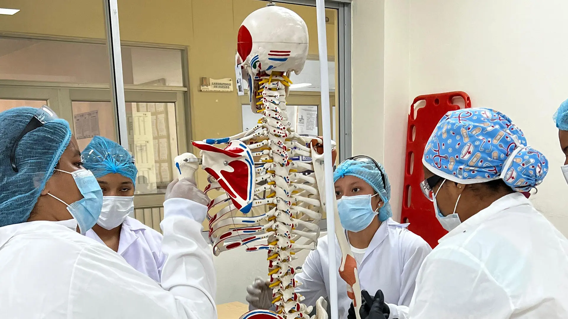 Grupo de estudiantes de ciencias de la salud, vestidos con batas blancas, tapabocas y cofias, observan y señalan un esqueleto anatómico de tamaño real en un laboratorio, mientras analizan la estructura ósea y muscular. 