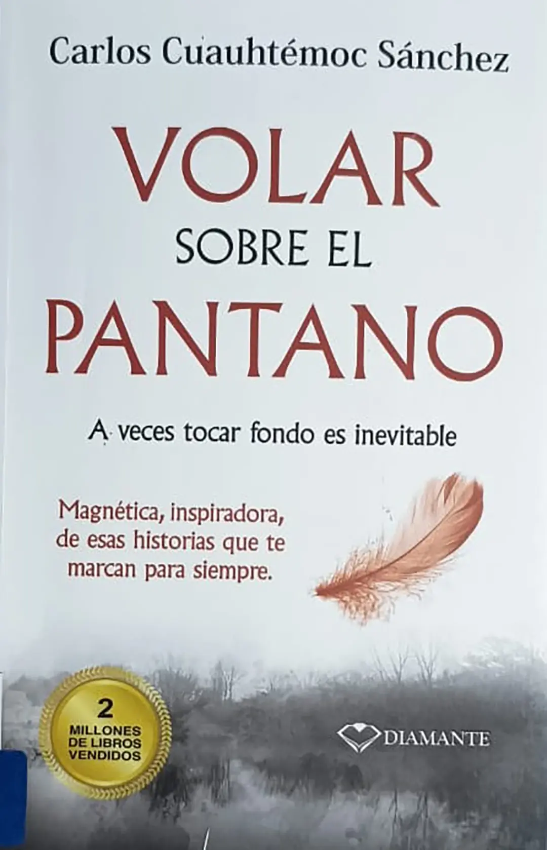 Aprender de lo inesperado Claves para la resiliencia en contextos educativos