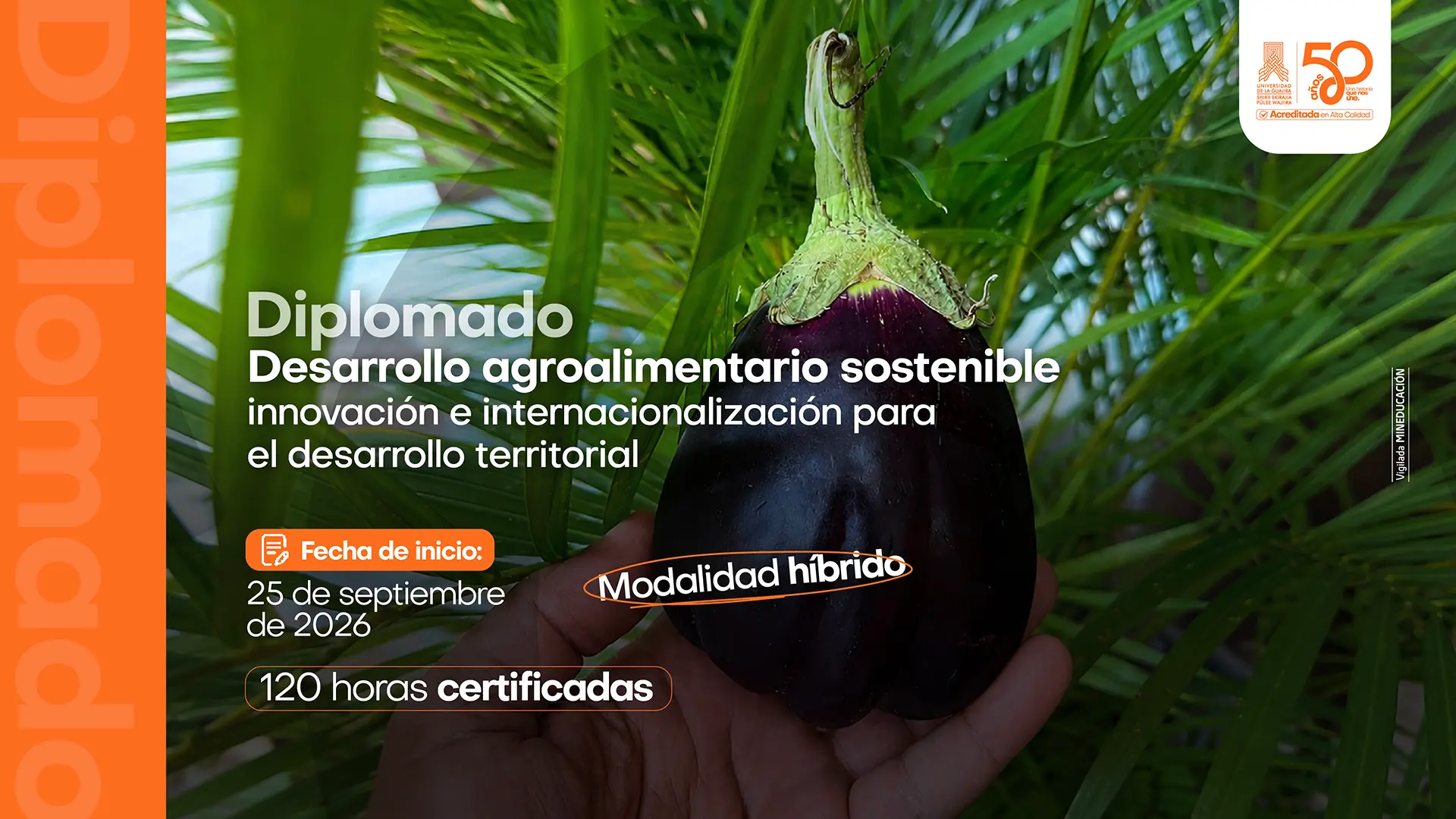 Afiche promocional del Diplomado Desarrollo agroalimentario sostenible: innovación e internacionalización para el desarrollo territorial. Muestra una mano sosteniendo una berenjena fresca con hojas verdes al fondo, e informa el inicio de clases para el 25 de septiembre de 2026, en modalidad híbrida con 120 horas certificadas.